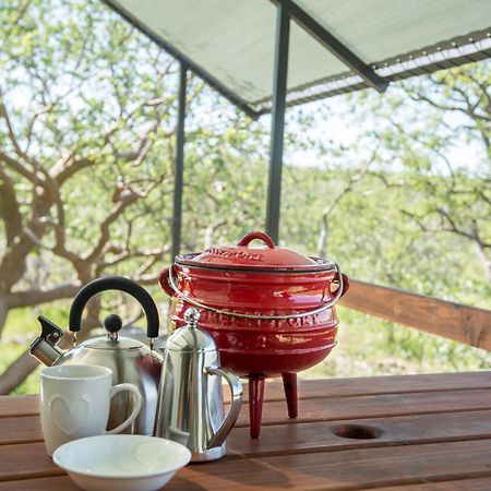 Etosha Safari Camping2Go Okaukuejo Szoba fotó