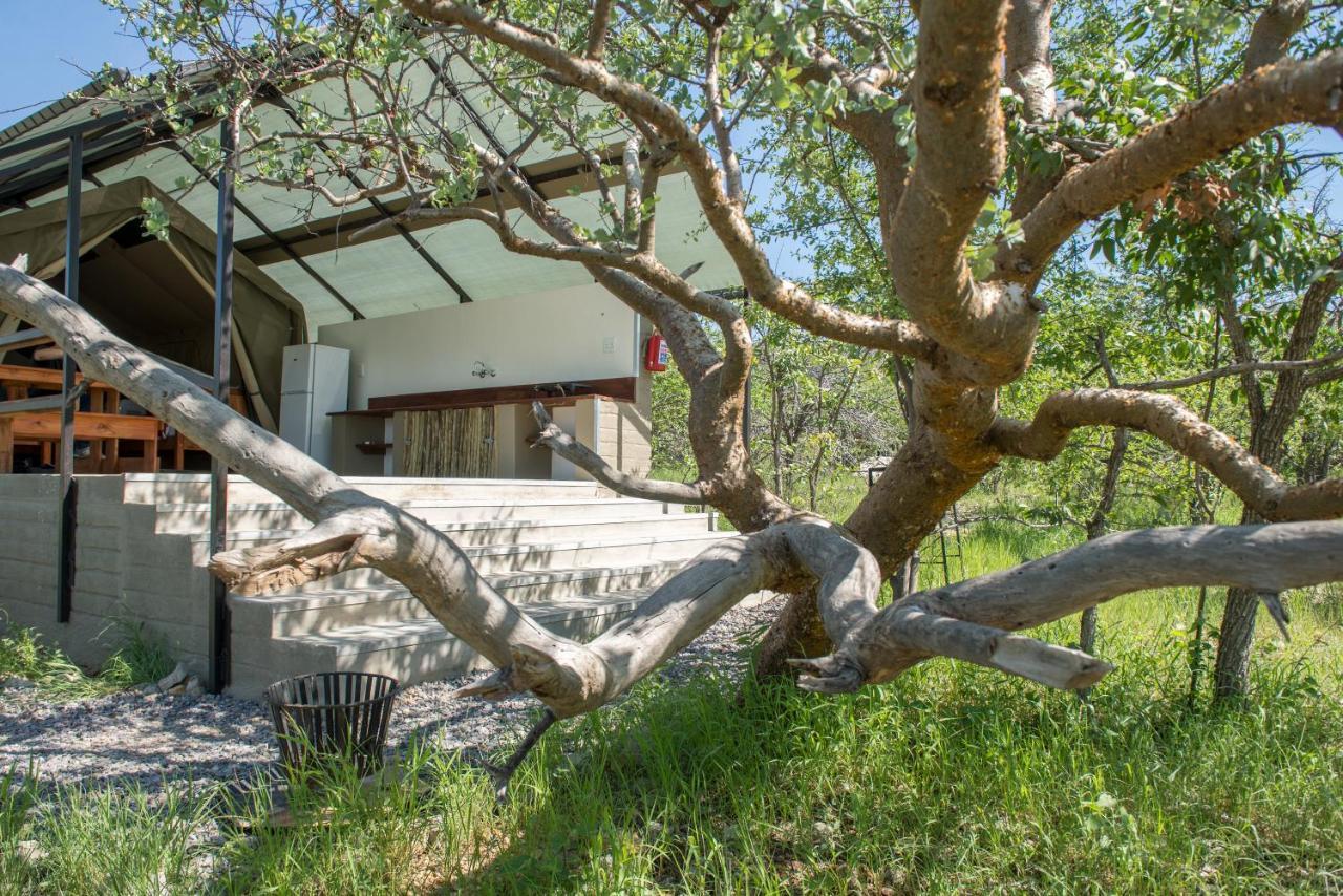 Etosha Safari Camping2Go Okaukuejo Kültér fotó